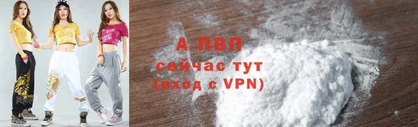 молекула духа Арсеньев