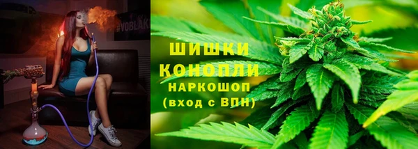 трава Аркадак